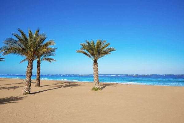 Beaches